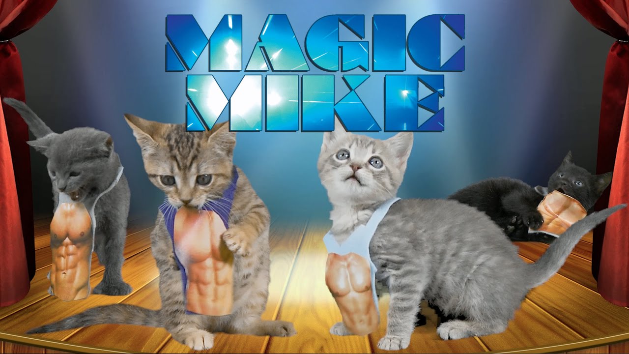 Magic Mike XXL (Cute Kitten Edition) - YouTube