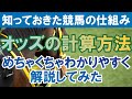 【投資競馬】オッズの計算方法をめちゃくちゃわかりやすく解説してみた