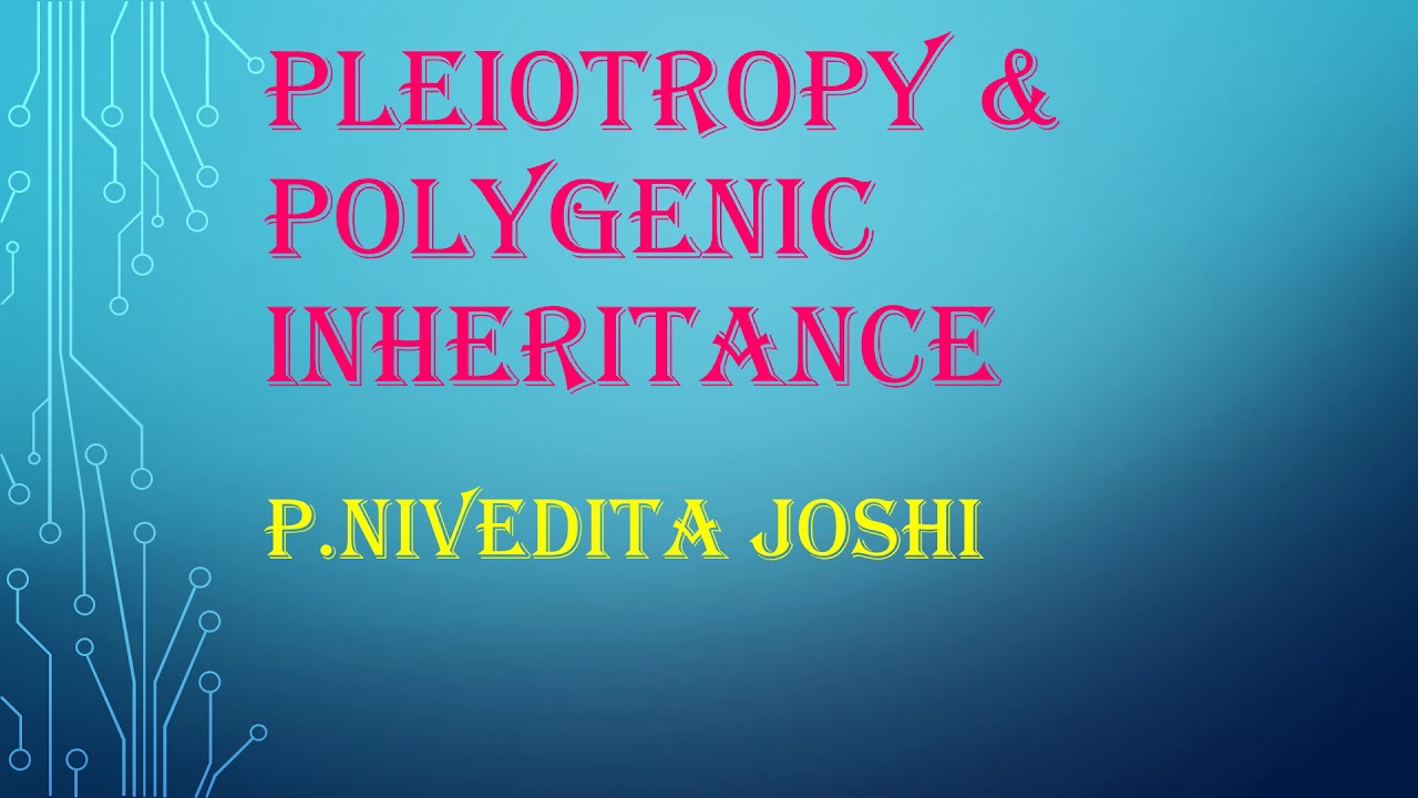 class-12th-ch-5-pleiotropy-and-polygenic-inheritance-nivedita-joshi