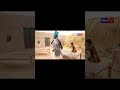Number Daar sotaila baap short funny video