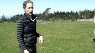 DSCF3177.AVI