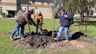Valdosta begins work to restore city's urban forestry after Hurricane Helene's wrath