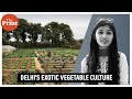 Exotic vegetables take centre stage in Delhi&#39;s thriving agriculture scene