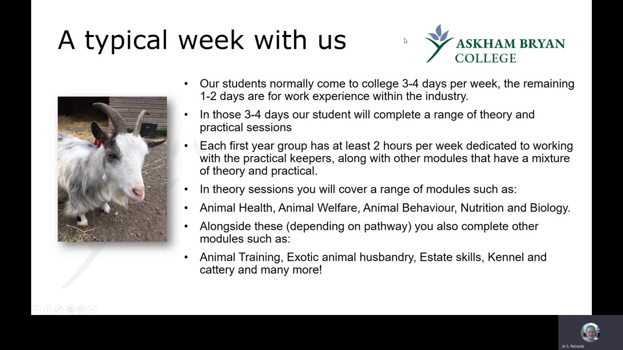 Animal Management Presentation YouTube