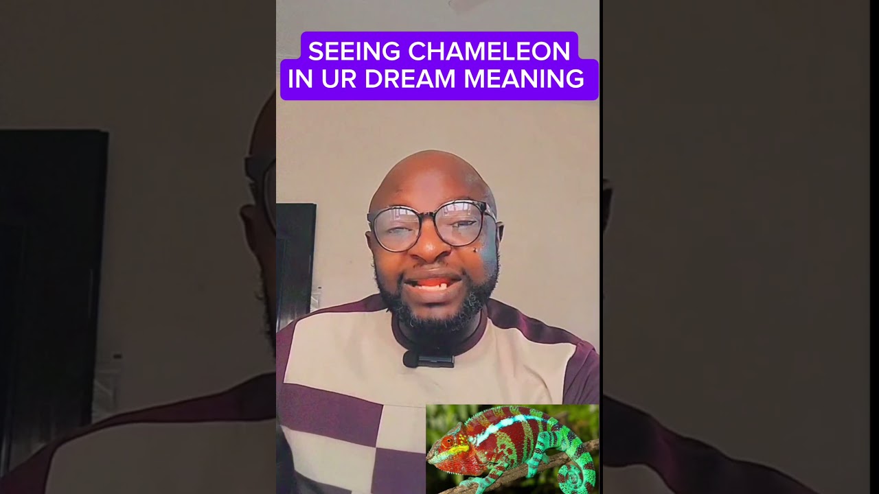 seeing CHAMELEON in your dream spiritual meaning