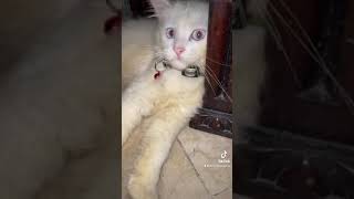 Burberry On Da Floor