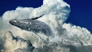 Fairy Whales