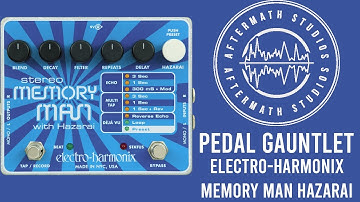 Electro-Harmonix Stereo Memory Man Hazarai - Pedal Gauntlet