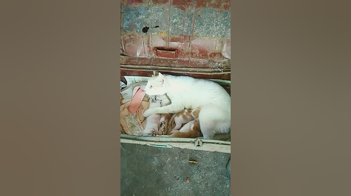 #അങ്ങനെ നമ്മൾ പുതിയ വീട്ടിലേക്ക്.... shorts#viral vedeo