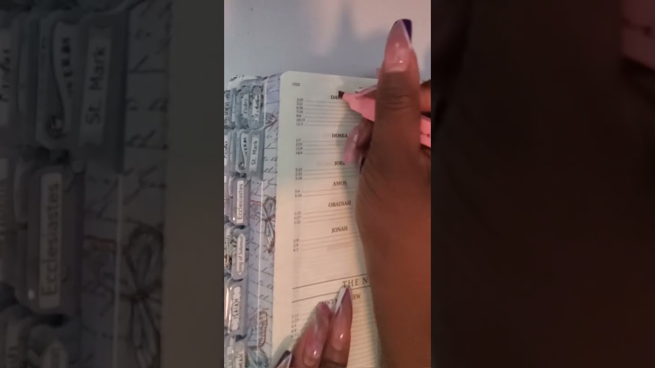 Diverse Bee Bible Highlighters Pen Test