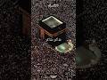 EID MUBRAK ❤️ | ZULFI ISLAMIC