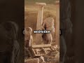 The Eternal Flame of Vesta: Rome's Guardian Fire 🔥