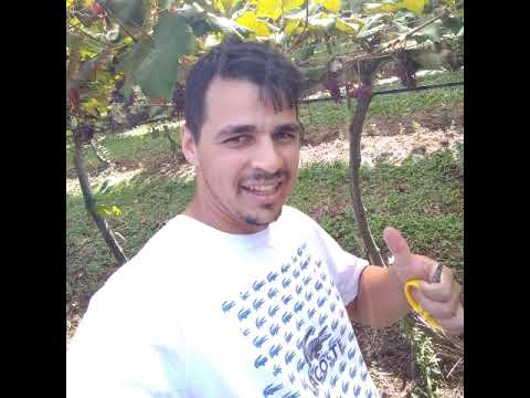 Transmissão ao vivo de Evanildo Almeida