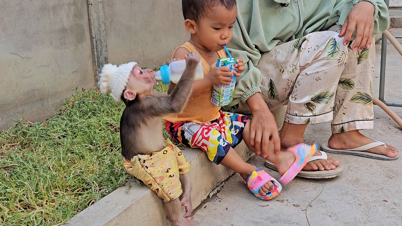 Extremely Cute Action! Polite Jack Calm Mood Wai Mom Share Milk Routine With Little C