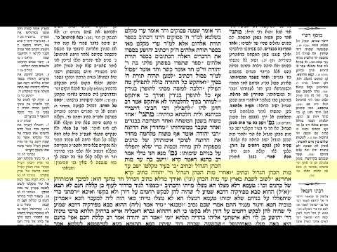 דף היומי מכות דף יא