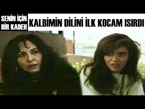 Senin İçin Bir Kadeh Türk Filmi | Nalan Aşka Küsüyor