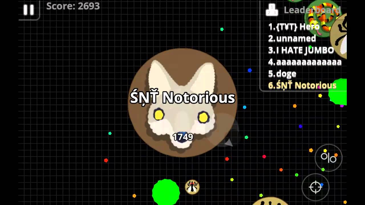 TRAITOR!!! SNT Notorious 35K Mass