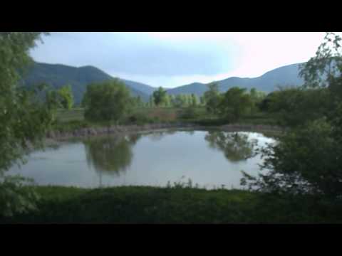 ბაყაყების მშვენიერ სიმფონია :)