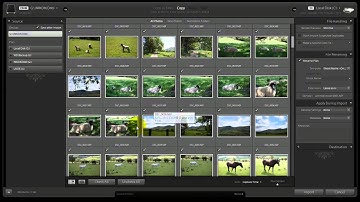 Lightroom 3 Tutorial - Interface - Boland Blog Free Images
