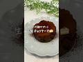 代謝サポート🍰生チョコケーキ
