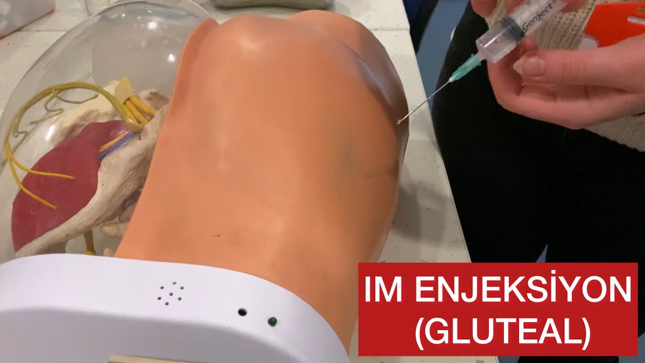 IM ENJEKSİYON (GLUTEAL BÖLGE)