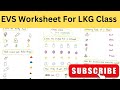 evs worksheet for lkg class / lkg evs worksheet 2024/ latest evs worksheet for junior kg