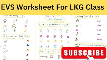 evs worksheet for lkg class / lkg evs worksheet 2024/ latest evs worksheet for junior kg