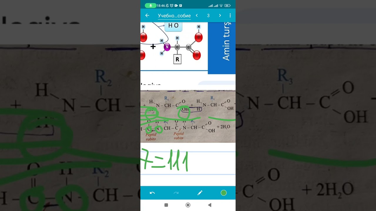 Zülallar. Biopolimerlər . Peptit rabitə