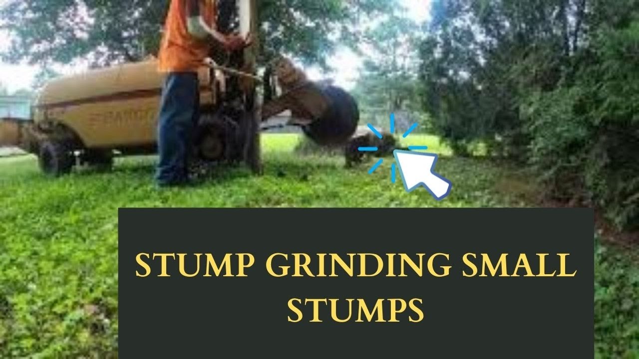 How I Use the Rayco Rg50 to Grind Small Stumps Out - YouTube