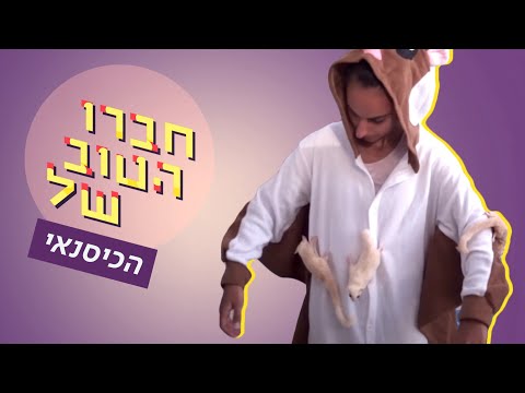 וִידֵאוֹ: סנאי אפור ובית הגידול שלו