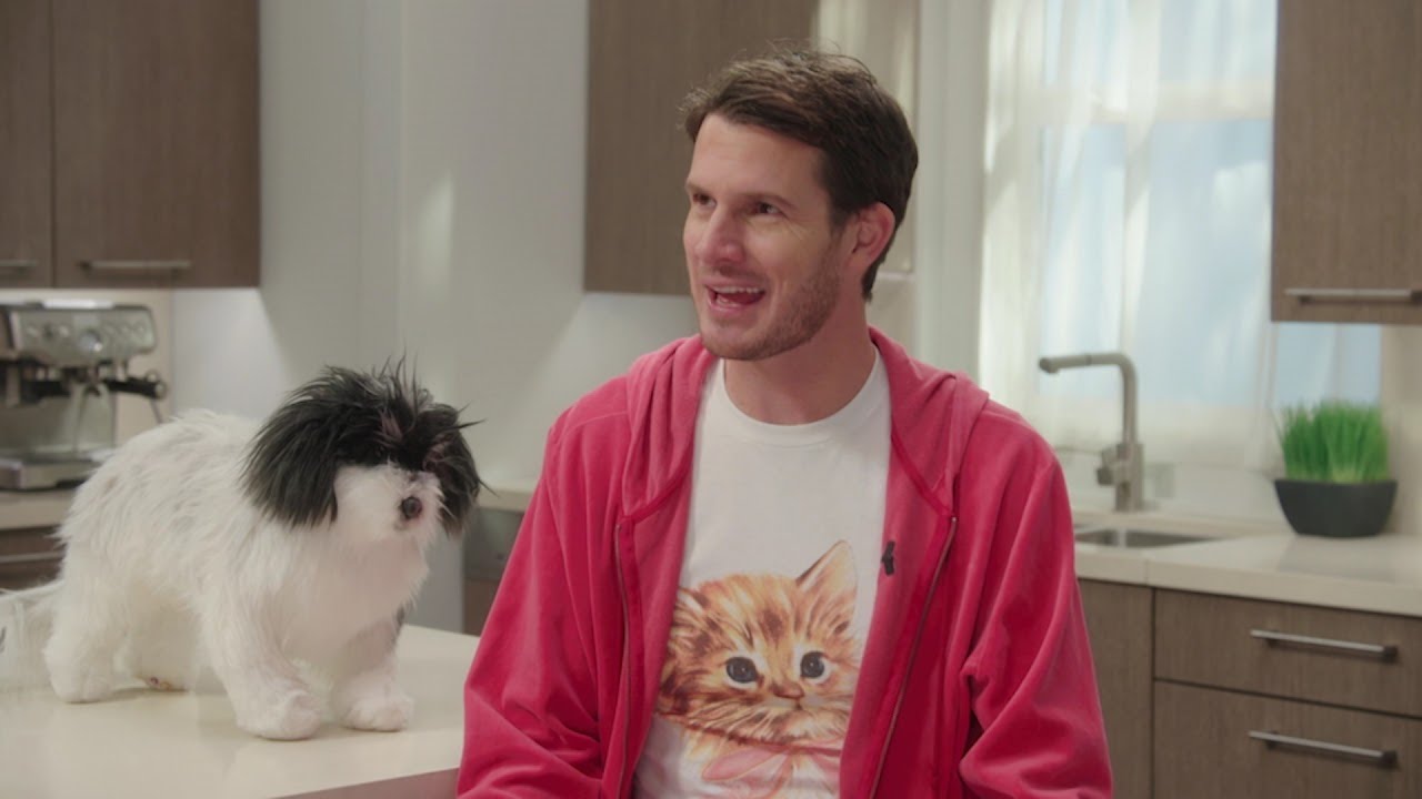 October 6, 2020 Cat Food Reviewer YouTube