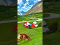 kya seen bhai #viralvideo #manalitrip #malaysia #shortvideo