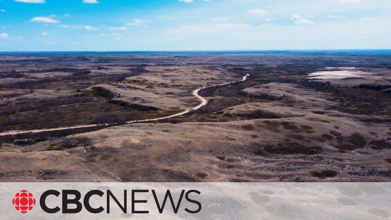 How ‘miles of burning sand’ transformed into Canada’s Prairie