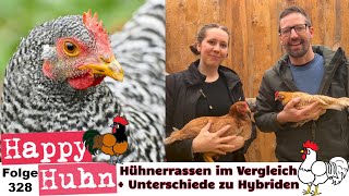 Verschiedene Hühnerrassen im Vergleich: Unterschied Hybridhühner und Rassegeflügel! HAPPY HUHN E328