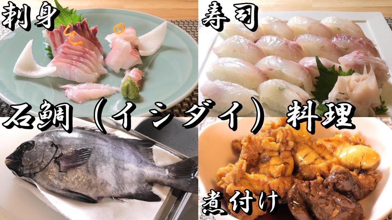 石鯛 イシダイさばき方 石鯛を１匹さばいて美味しい料理にしていくよー 刺身 寿司 煮付け Youtube