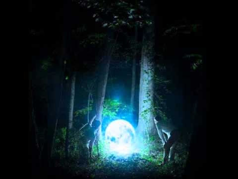 Muscaria — Muscaria - The Man Who Dropped The Moon