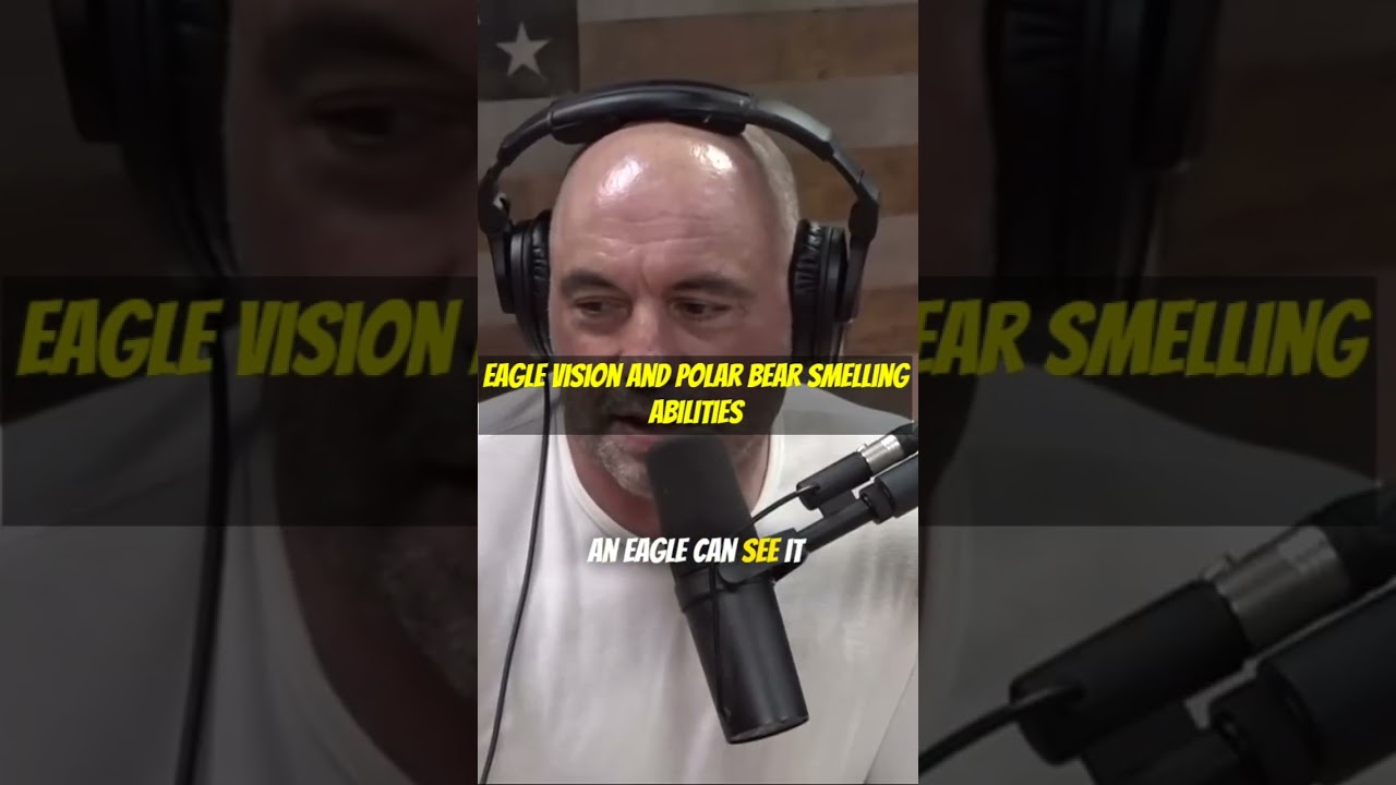 Joe Rogan: Eagle vision and polar bear smelling abilities 
