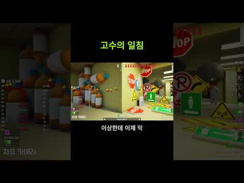 숨바꼭질 고수만 할 수 있는 날카로운 일침 | 메챠카멜레온(MECCHA CHAMELEON)
