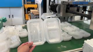 Fully Automatic Thermoforming Machine for PP Disposable Food Containers | Lunch Box Production Line