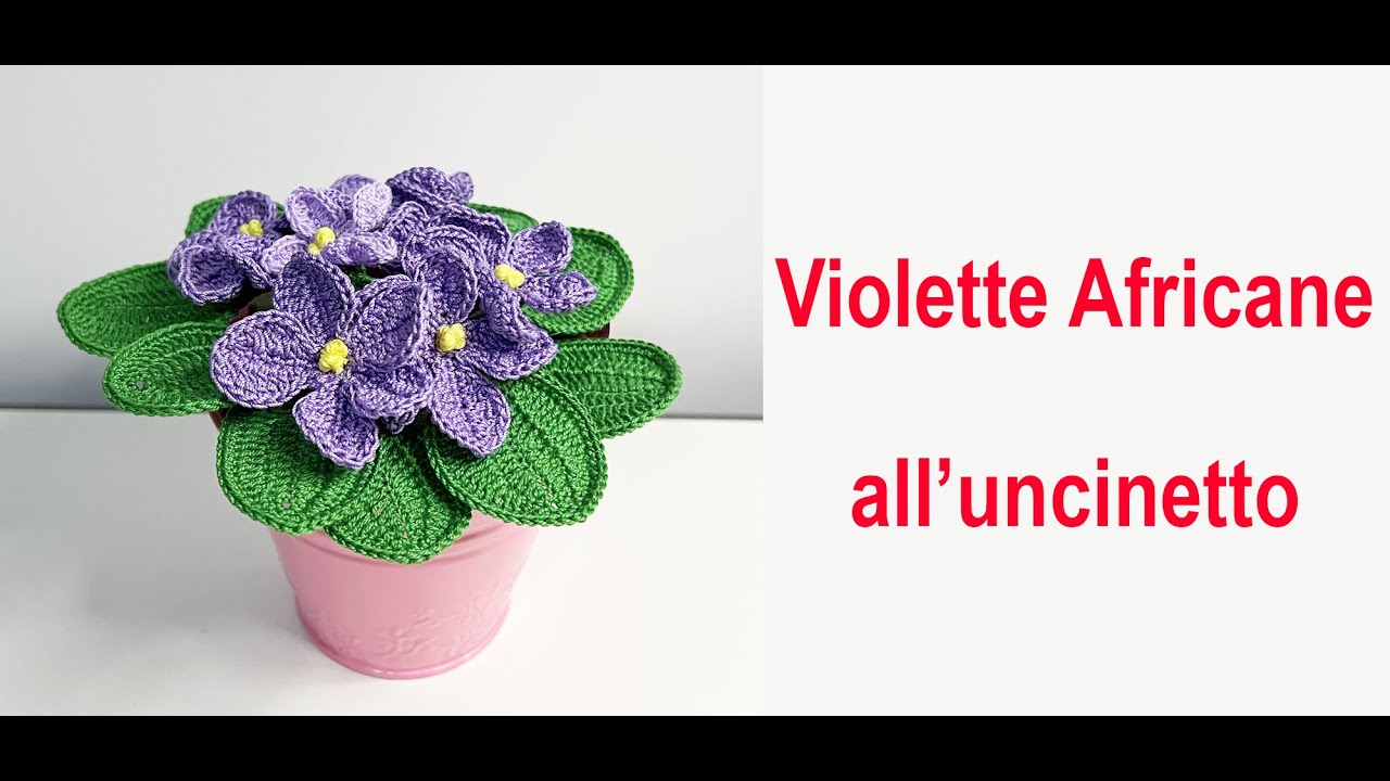 Violette africane all'uncinetto