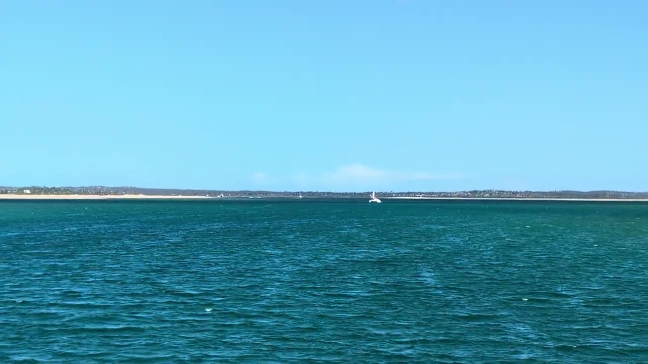 Pansy Island Mozambique