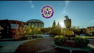 A Glimpse Into Ashland