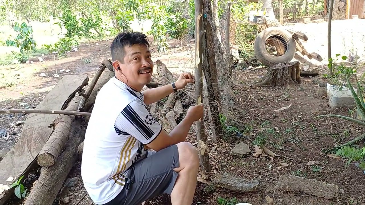 Mi esposo me arregla mi jardin, lo prometio y lo esta cumpliendo 🙏🥹