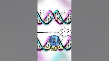 How Artificial Intelligence is Revolutionizing Drug Discovery