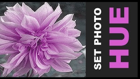 Web Design Tutorials for Xara Web Designer MX Premium 8 - Setting Photo Hue Lesson 72