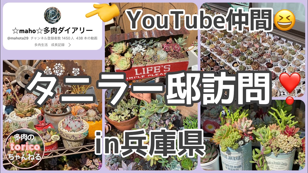 【人気企画】タニラー邸訪問第四弾‼️in兵庫県