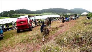 2017年八重山農林高校の草刈り大会