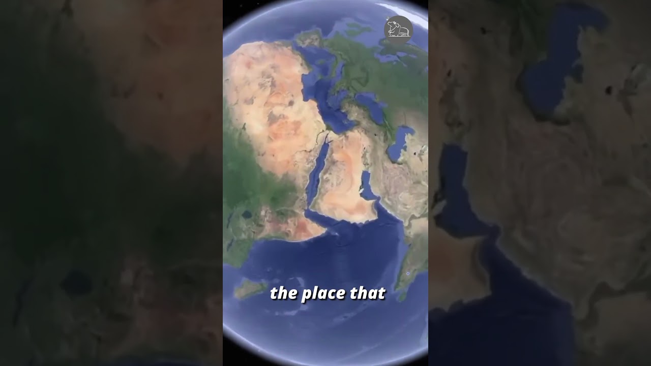 The SECRET Decision That Changed Whitefield Forever