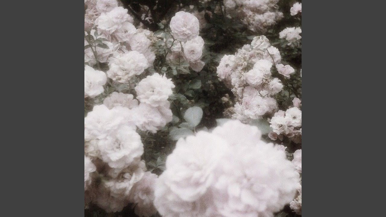 It's a Beautiful World