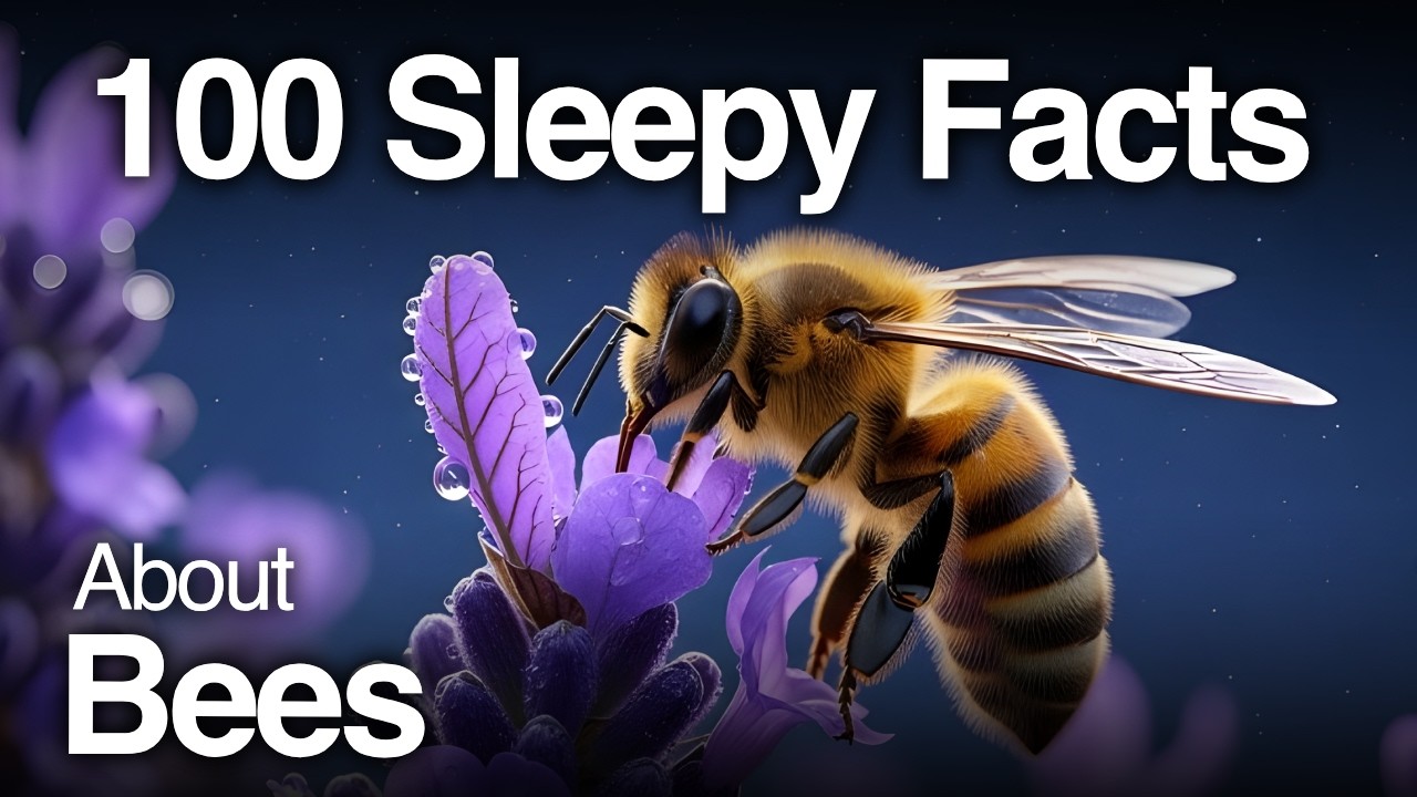 Sleepy Science: Bee Facts That Gently Guide You to Rest